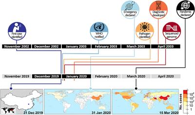 Frontiers | Lessons Learnt From The COVID-19 Pandemic